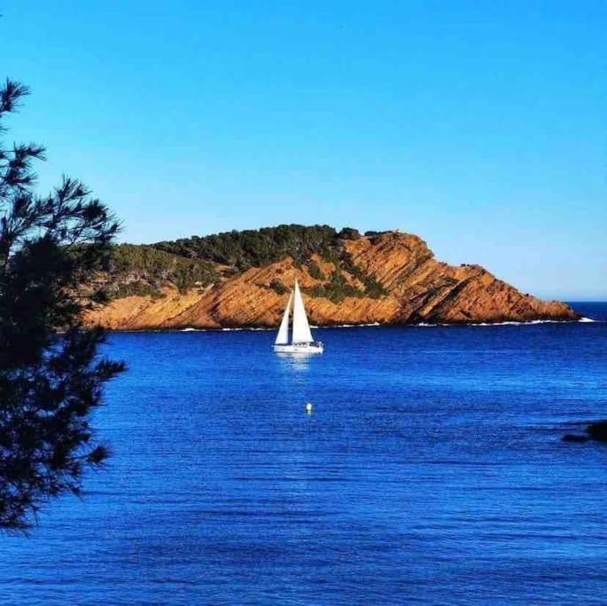 Appartement Grand T2 53M2, Proche Plages Et Port , Parking . à La Ciotat Extérieur photo